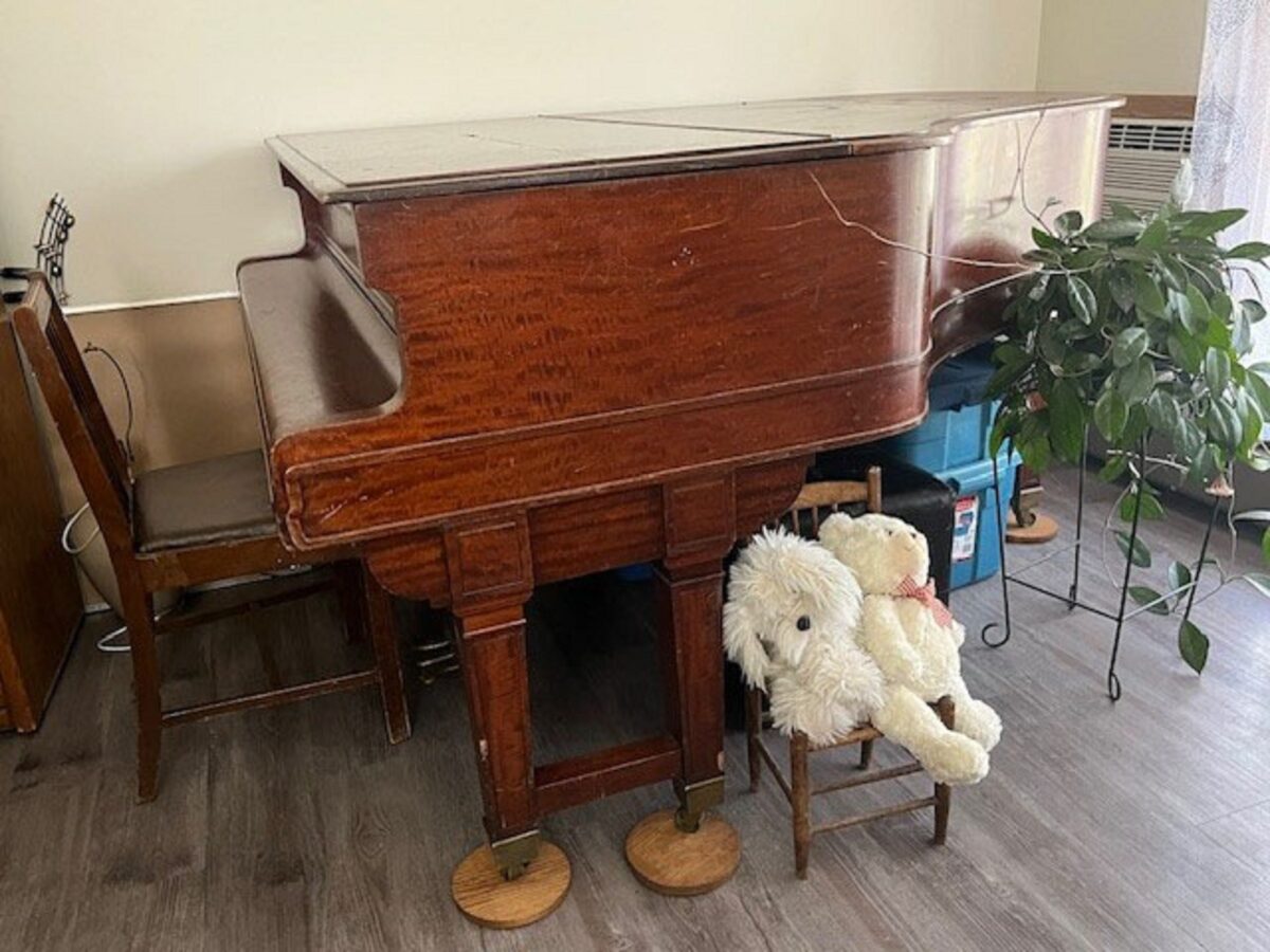 Pic 1 Century Piano