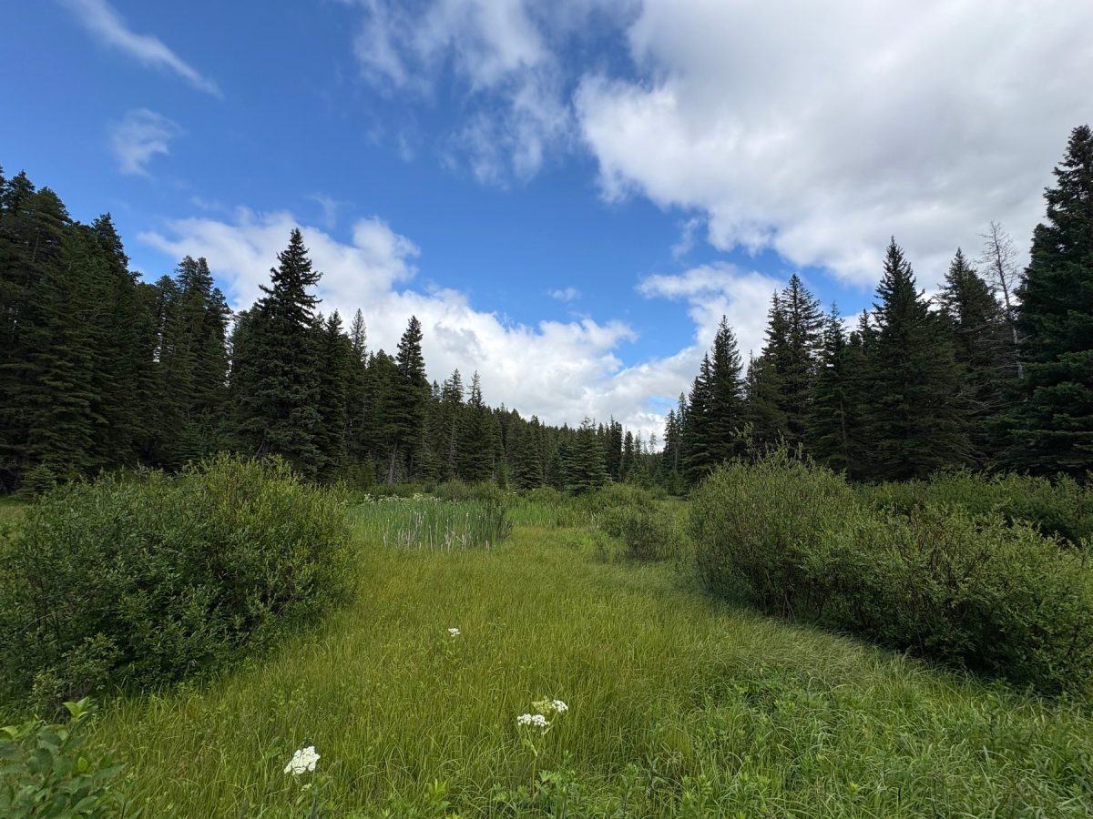 camp-scenery-EB